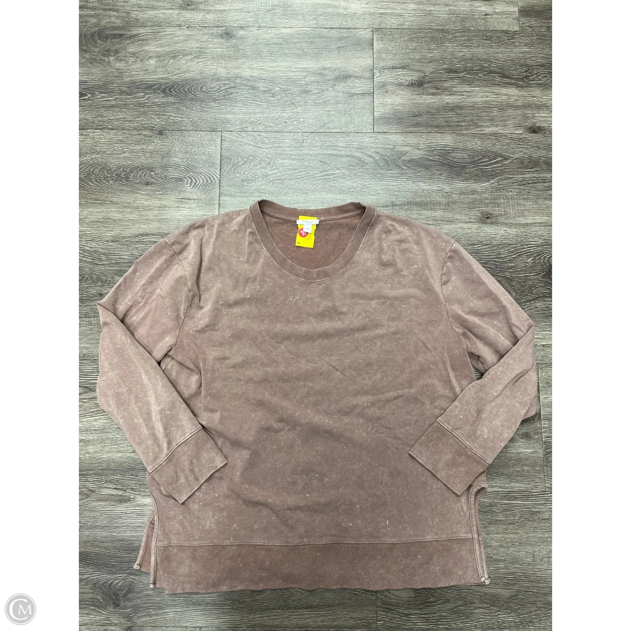 Sweatshirt Crewneck By Daily Ritual In Brown, Size: Xxl Simple Style Wind Ease