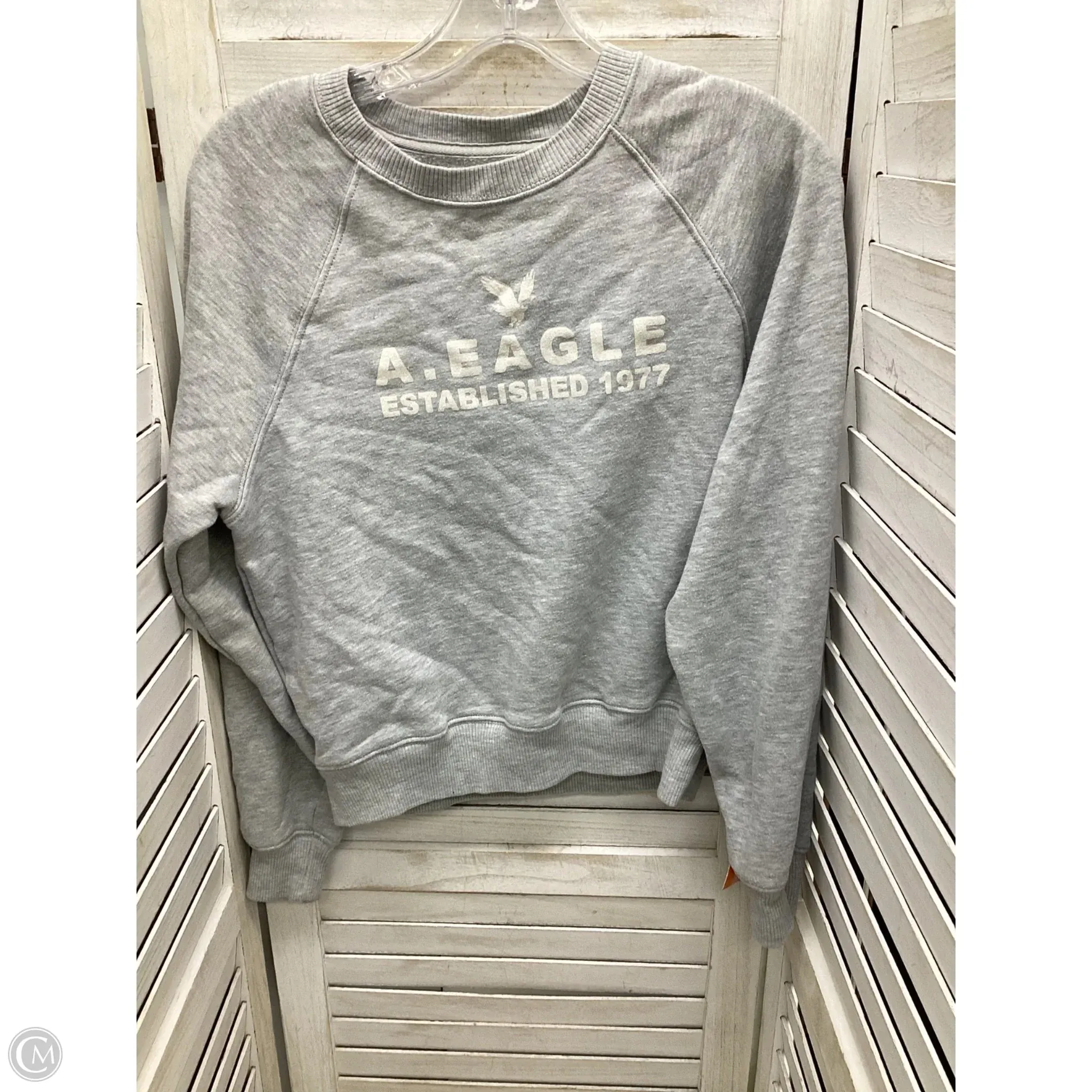 Sweatshirt Crewneck By American Eagle In Grey, Size: Xs Cool Hooded Jacket