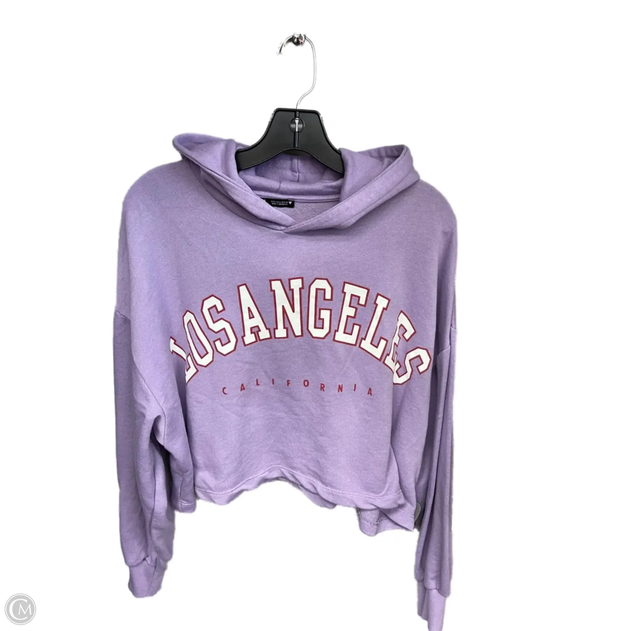 Sweatshirt Hoodie By Zara In Purple, Size: L Dense Fit Cyber Core