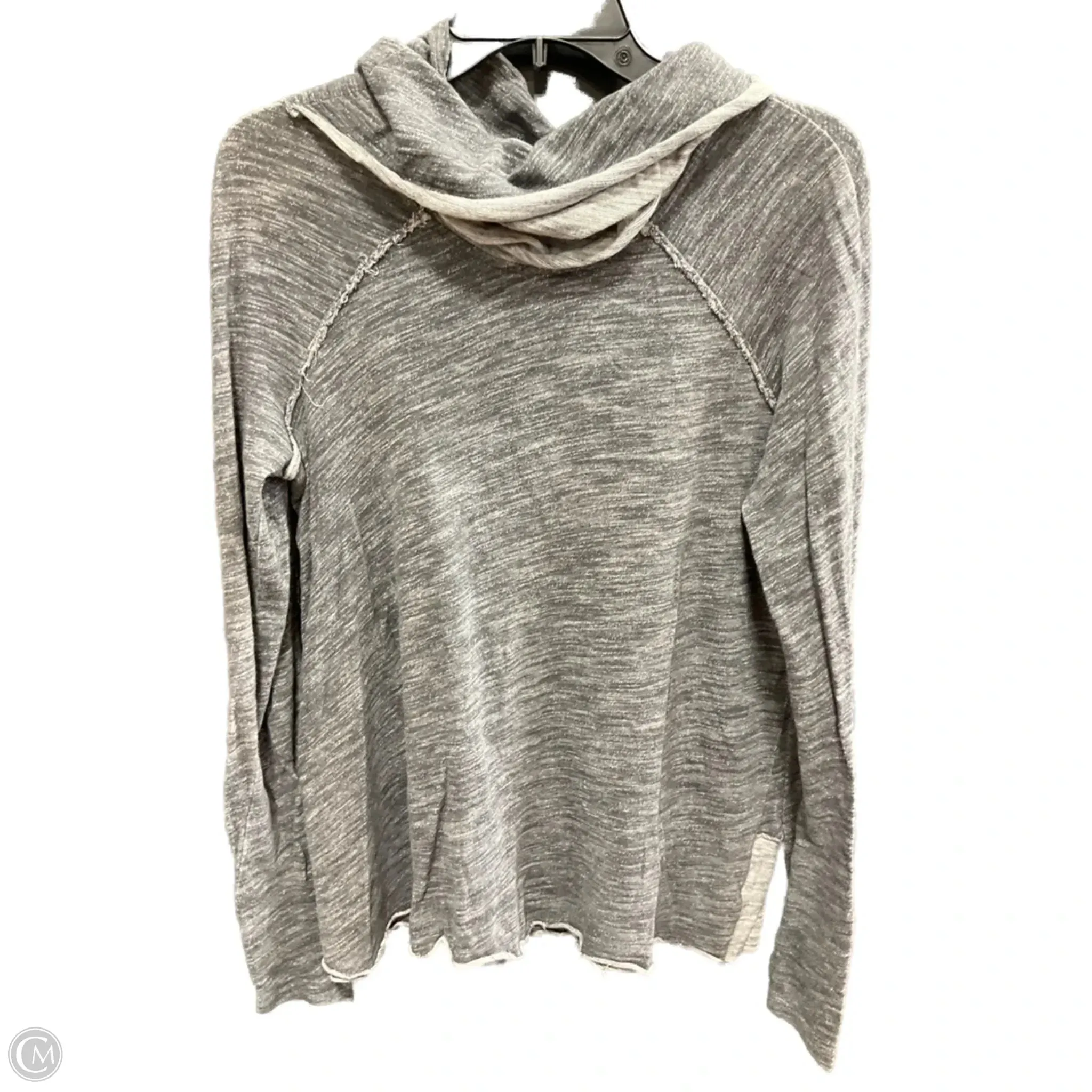 Sweatshirt Hoodie By Free People In Grey, Size: Osfm Inner Glow
