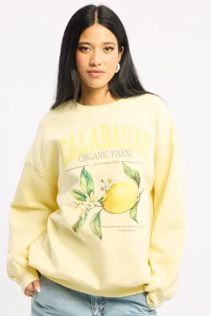 Embroidered Detail Yellow Graphic Sweater Long Sleeve
