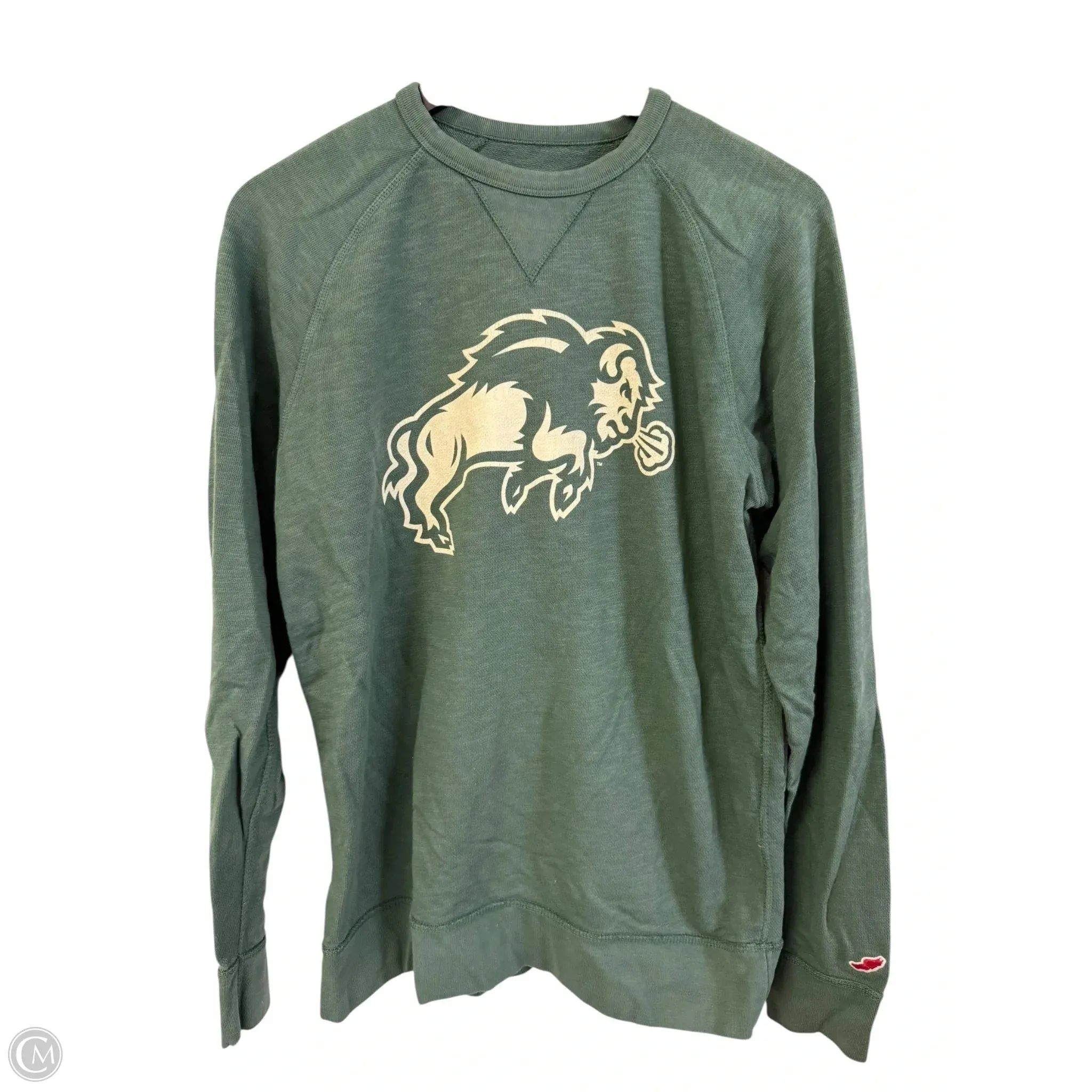 World Tone Cozy Design Sweatshirt Crewneck By Clothes Mentor In Green, Size: M