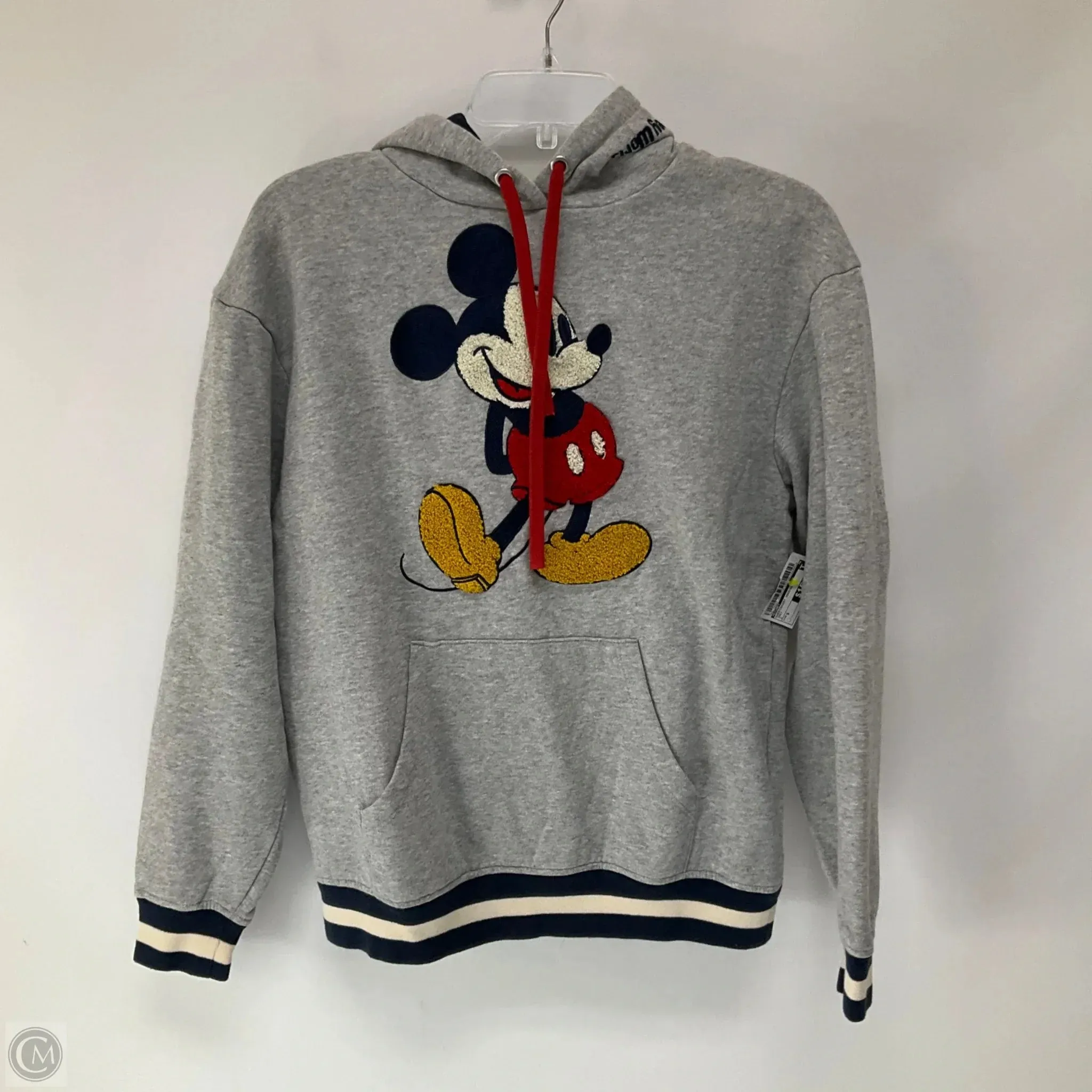 Sweatshirt Hoodie By Disney In Grey, Size: S UltraSoftFinish