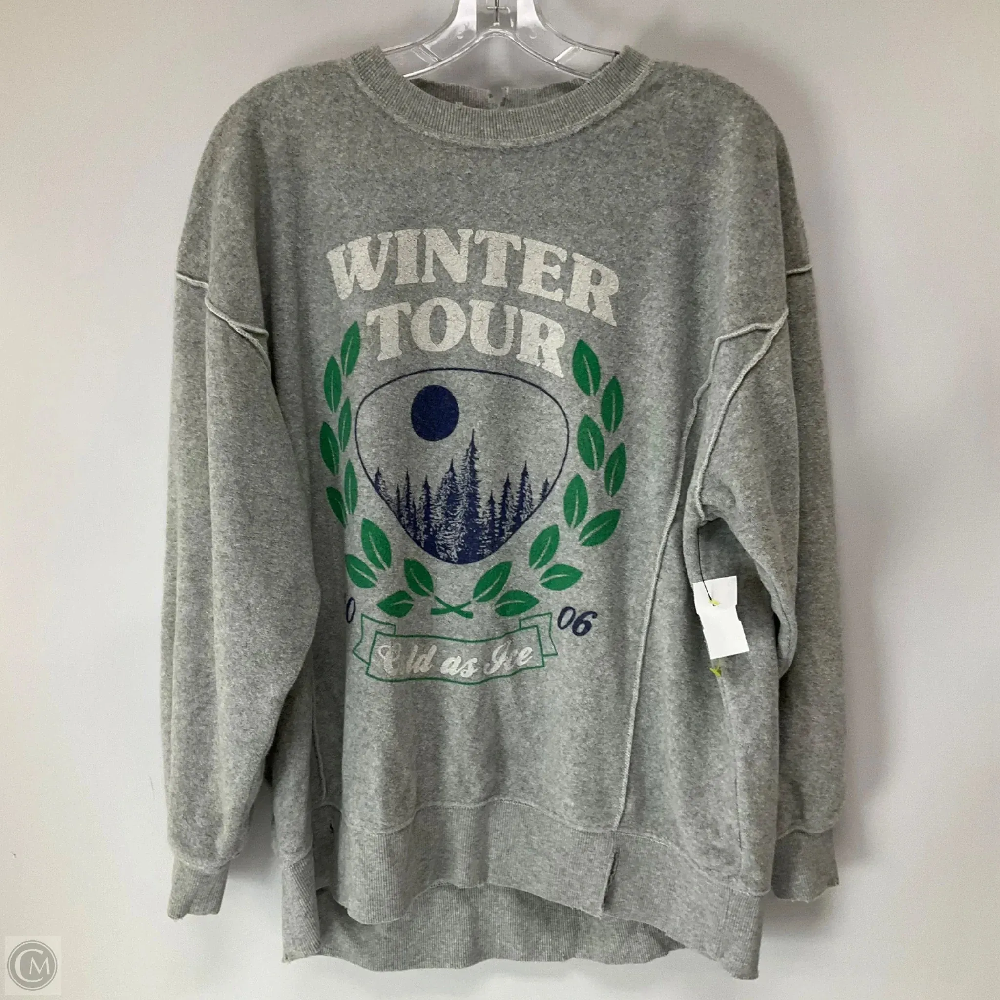 Essential Shirt Stylish Scarf Sweatshirt Crewneck By Aerie In Grey, Size: S