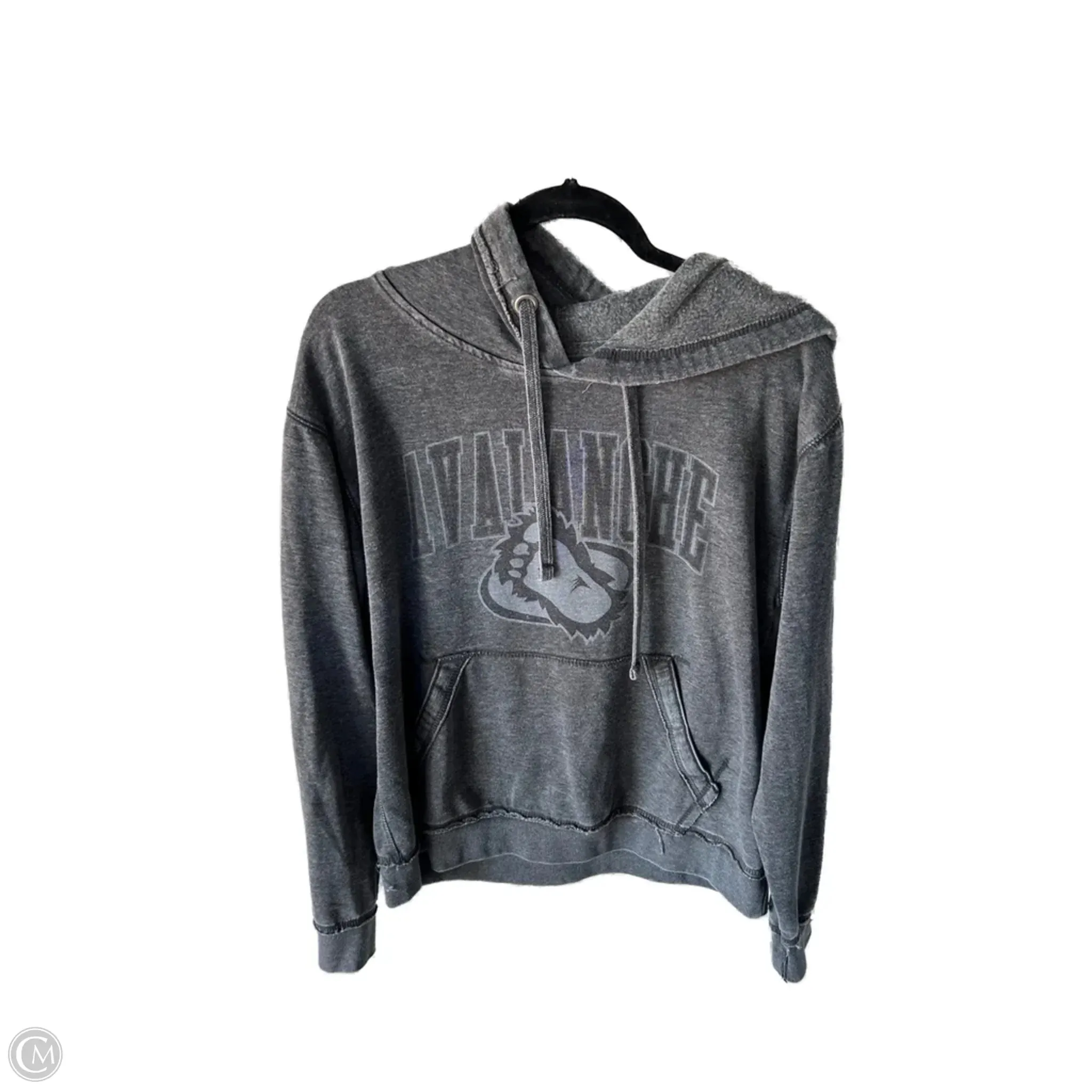 Cozy Fit Warm Sweater Sweatshirt Hoodie By Blue 84 In Grey, Size: L