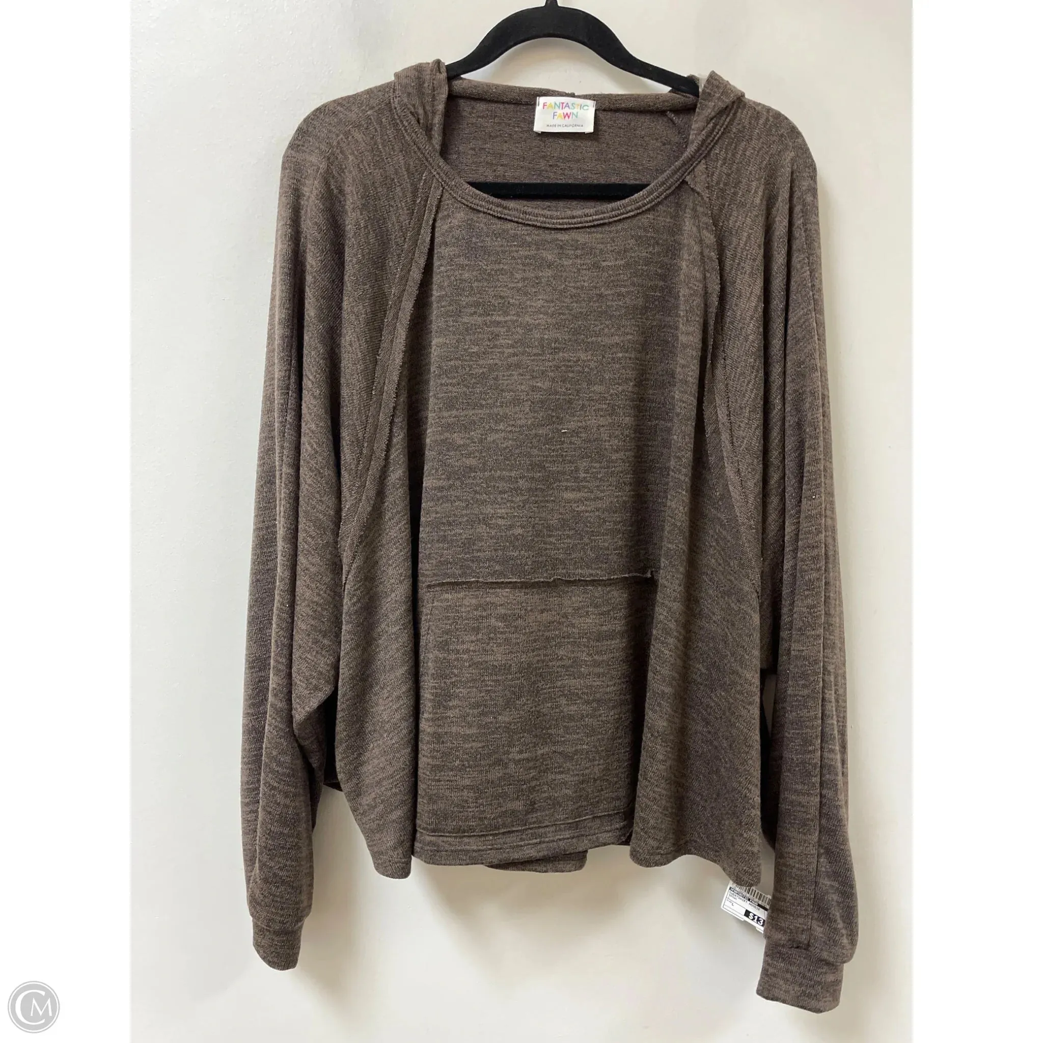 Recycled Polyester Blend Trend Glow Sweatshirt Hoodie By Fantastic Fawn In Brown, Size: L
