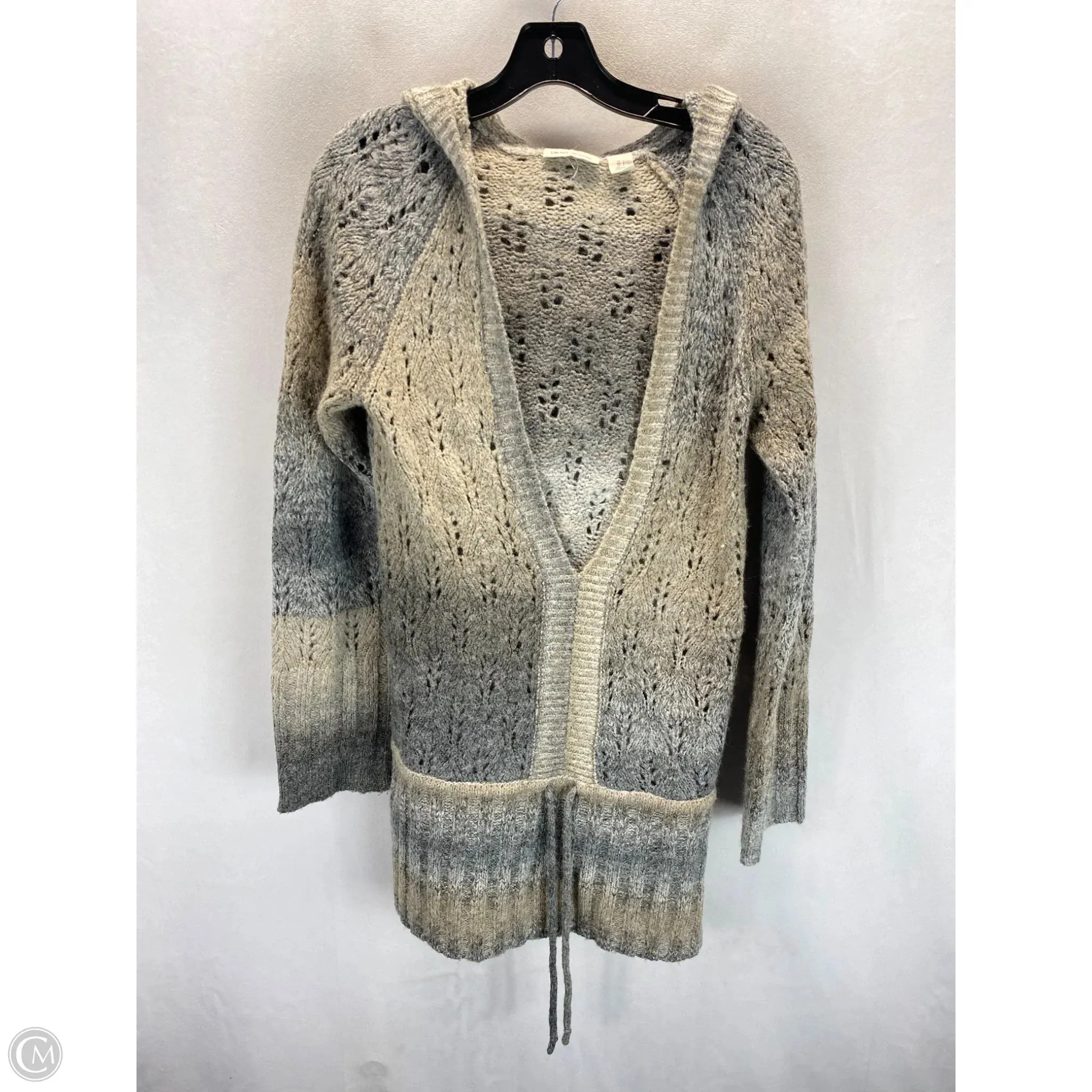 Winter Accessories Sweatshirt Hoodie By Dkny In Grey, Size: L