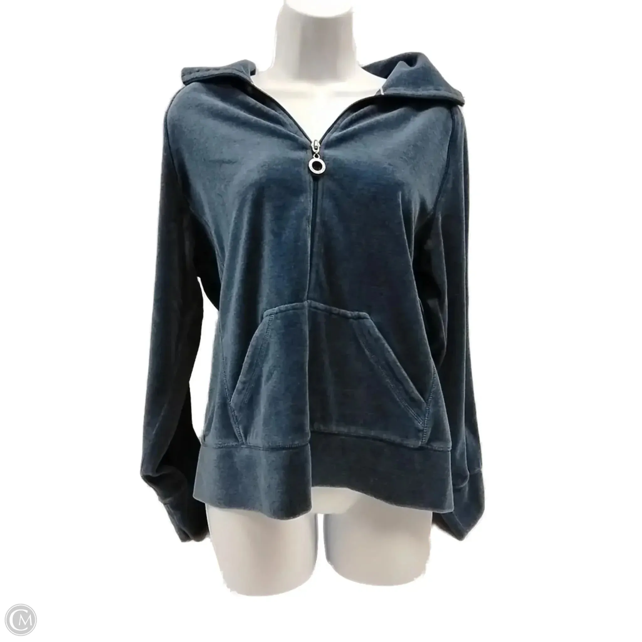 Athletic Sweatshirt Hoodie By Everlast In Blue, Size: L MachineWashable Fabric All-Occasion