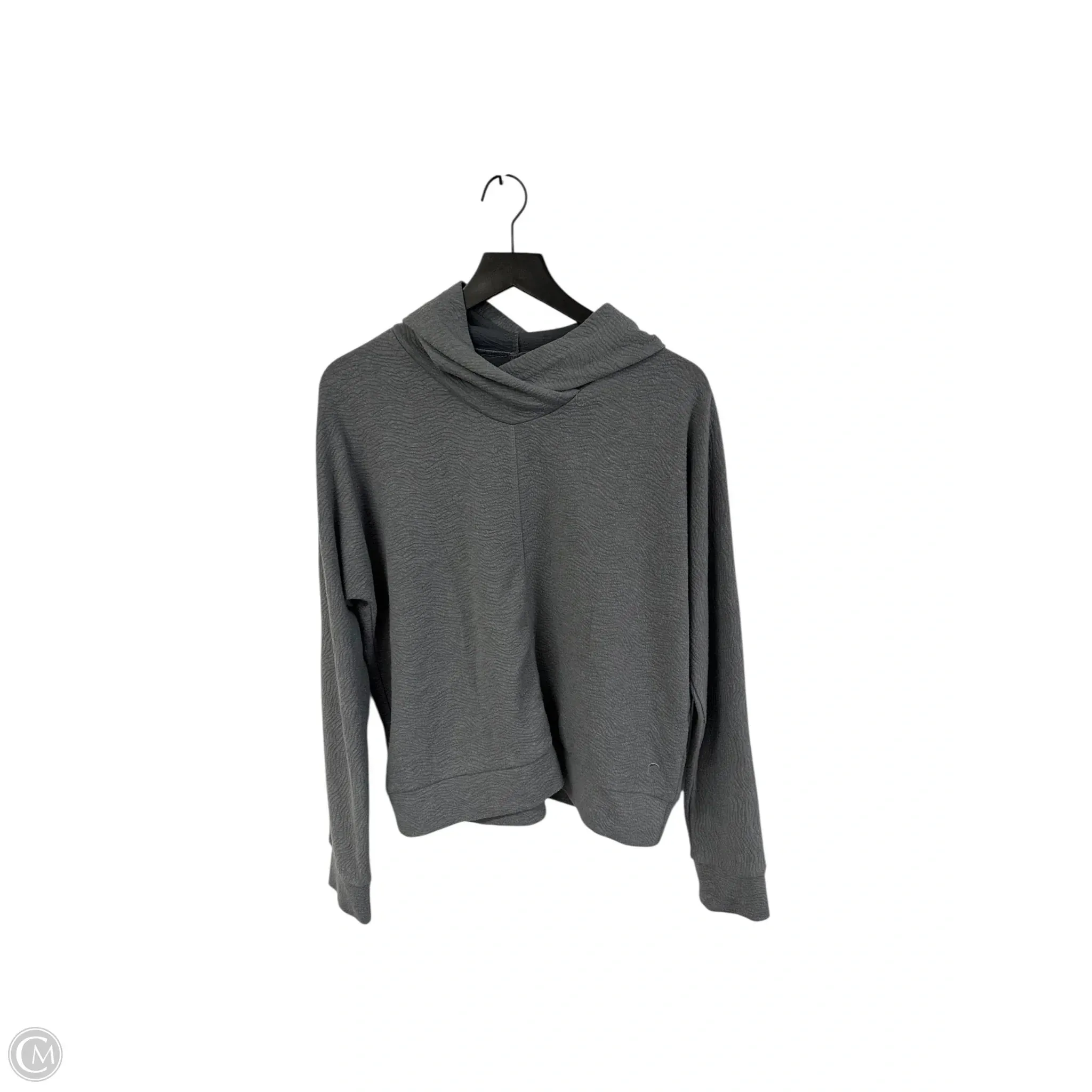 Sweatshirt Hoodie By Zyia In Grey, Size: M Thick Fiber Global Glow