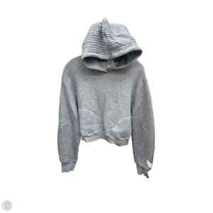 Euro Mood Sweatshirt Hoodie By Aerie In Grey, Size: M