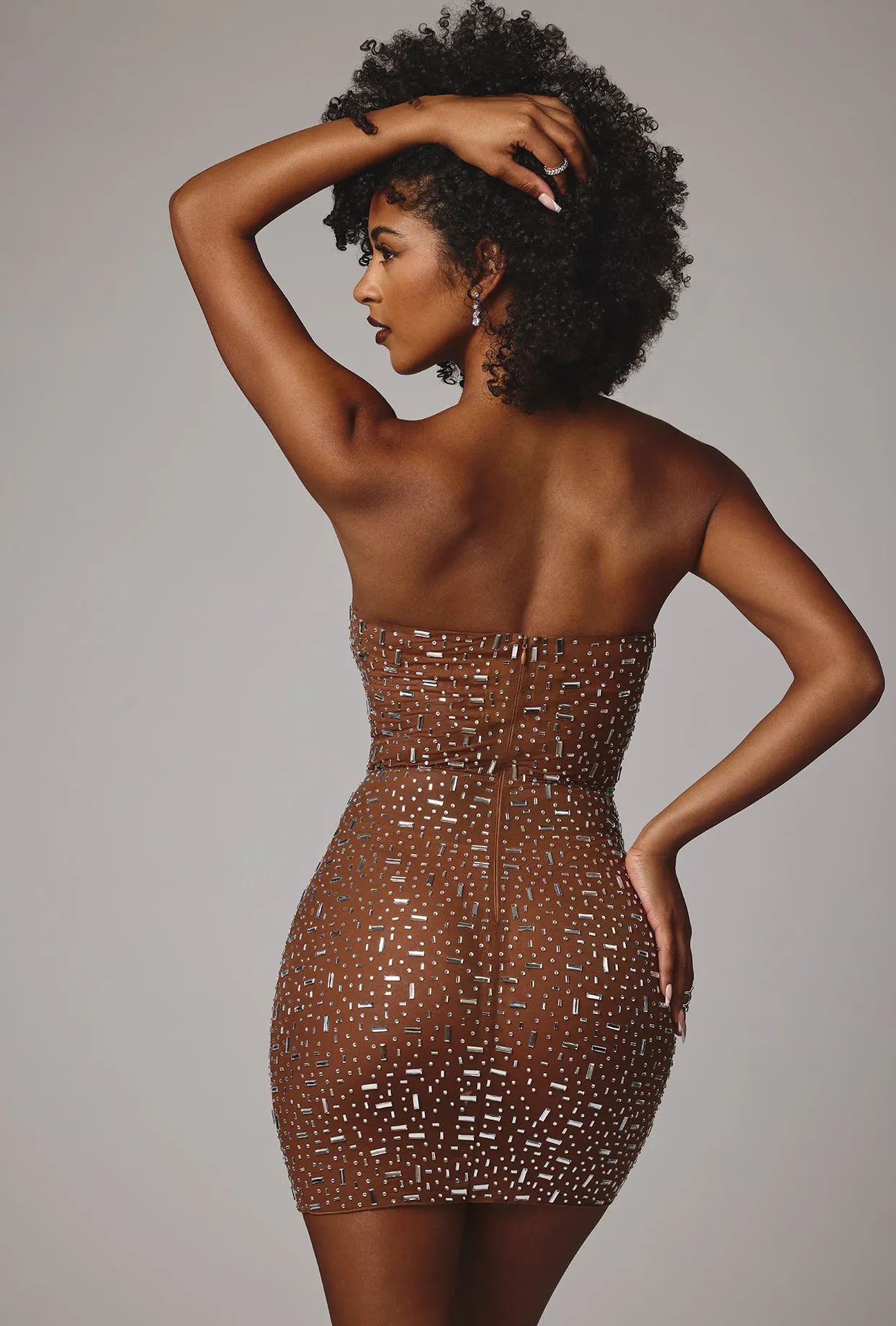 Stage Light Sheer Embellished Bodycon Mini Dress in Mocha