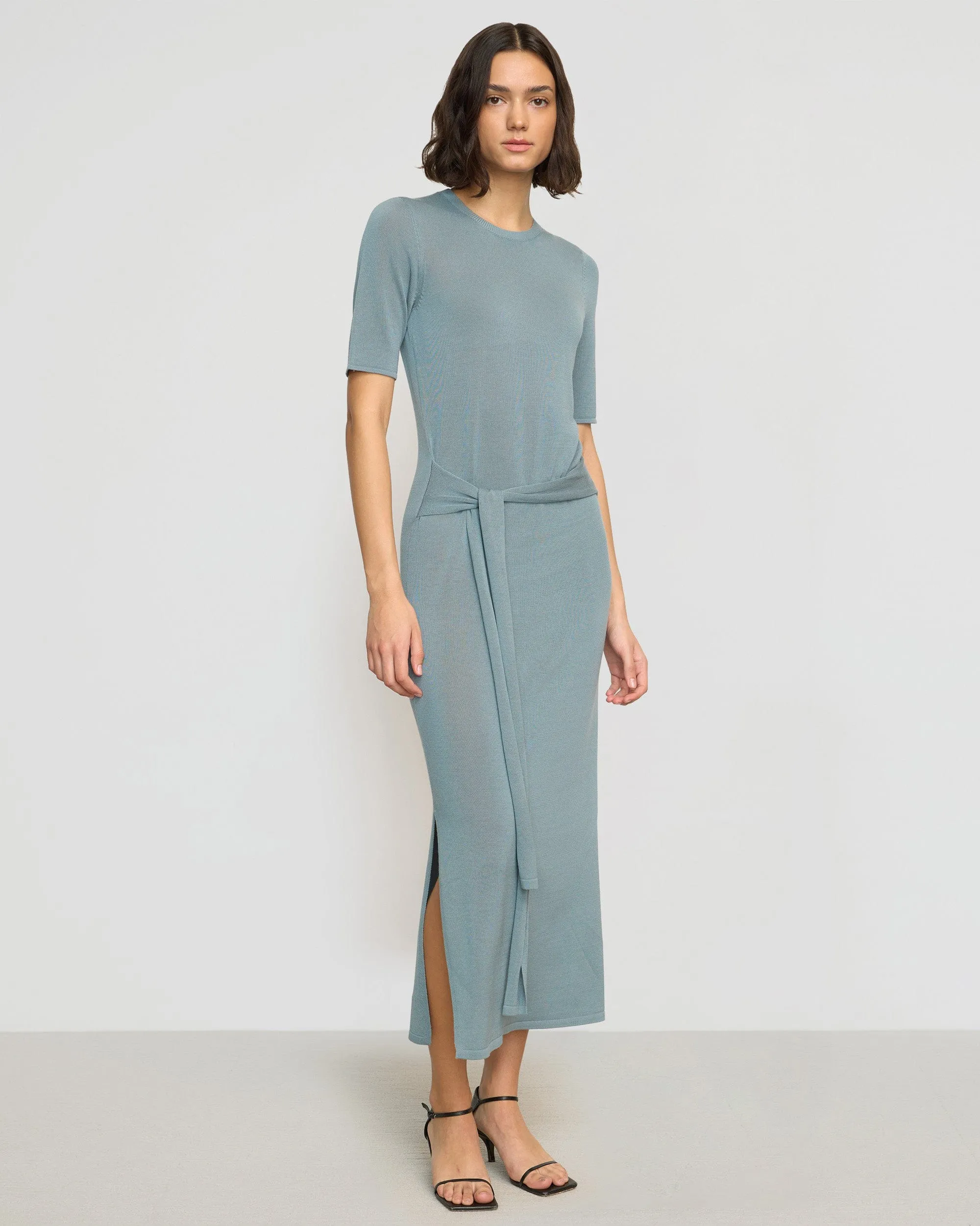 Classic Look Larkyn Tie-Front Semi-Sheer Tencel-Wool Dress