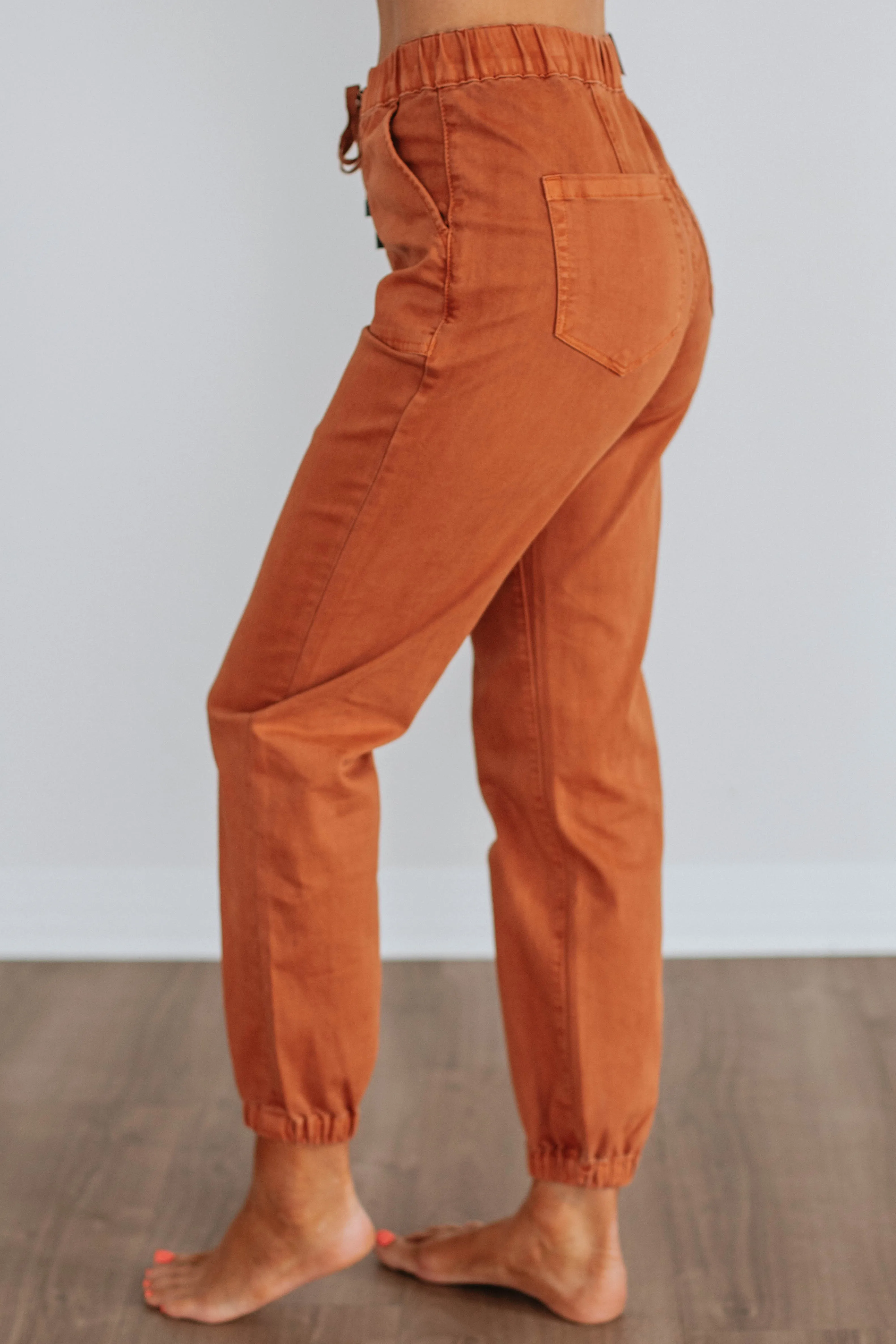 Clear Tone Drea Mica Joggers - Cinnamon