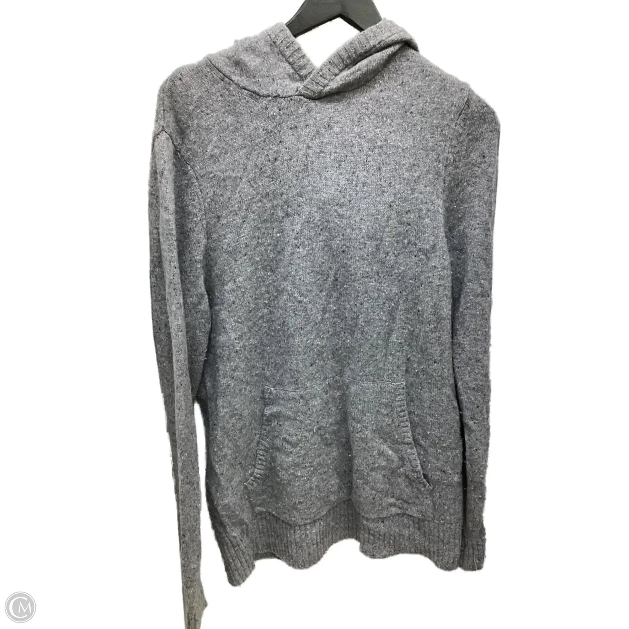 Late Breeze Sweatshirt Hoodie By Garnet Hill In Grey, Size: S