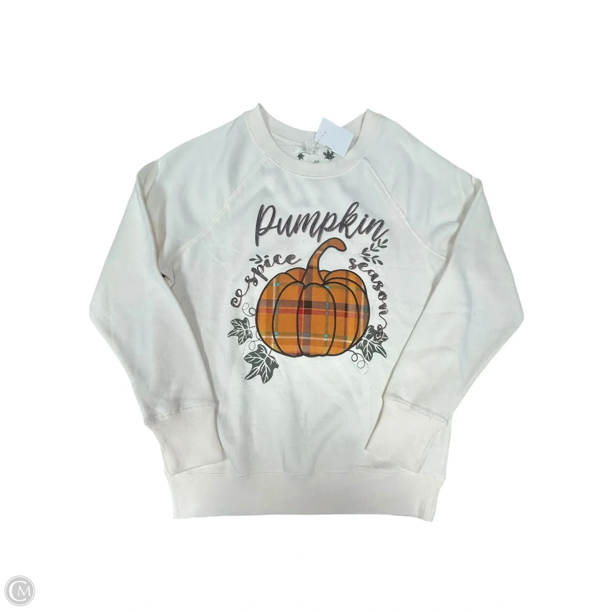 Classic Mode Sweatshirt Crewneck By Maurices In Cream, Size: Xs