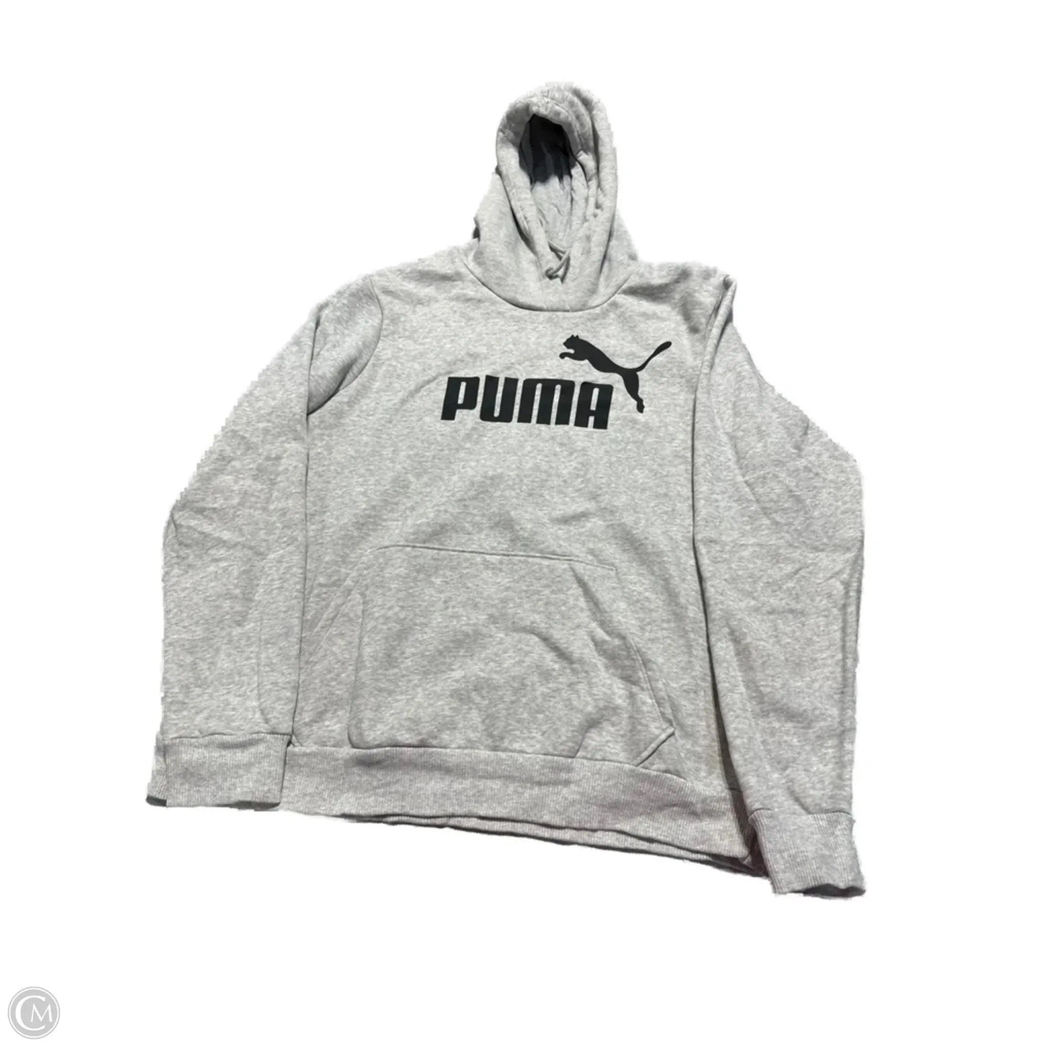 Sweatshirt Hoodie By Puma In Grey, Size: Xs MinimalistStyle