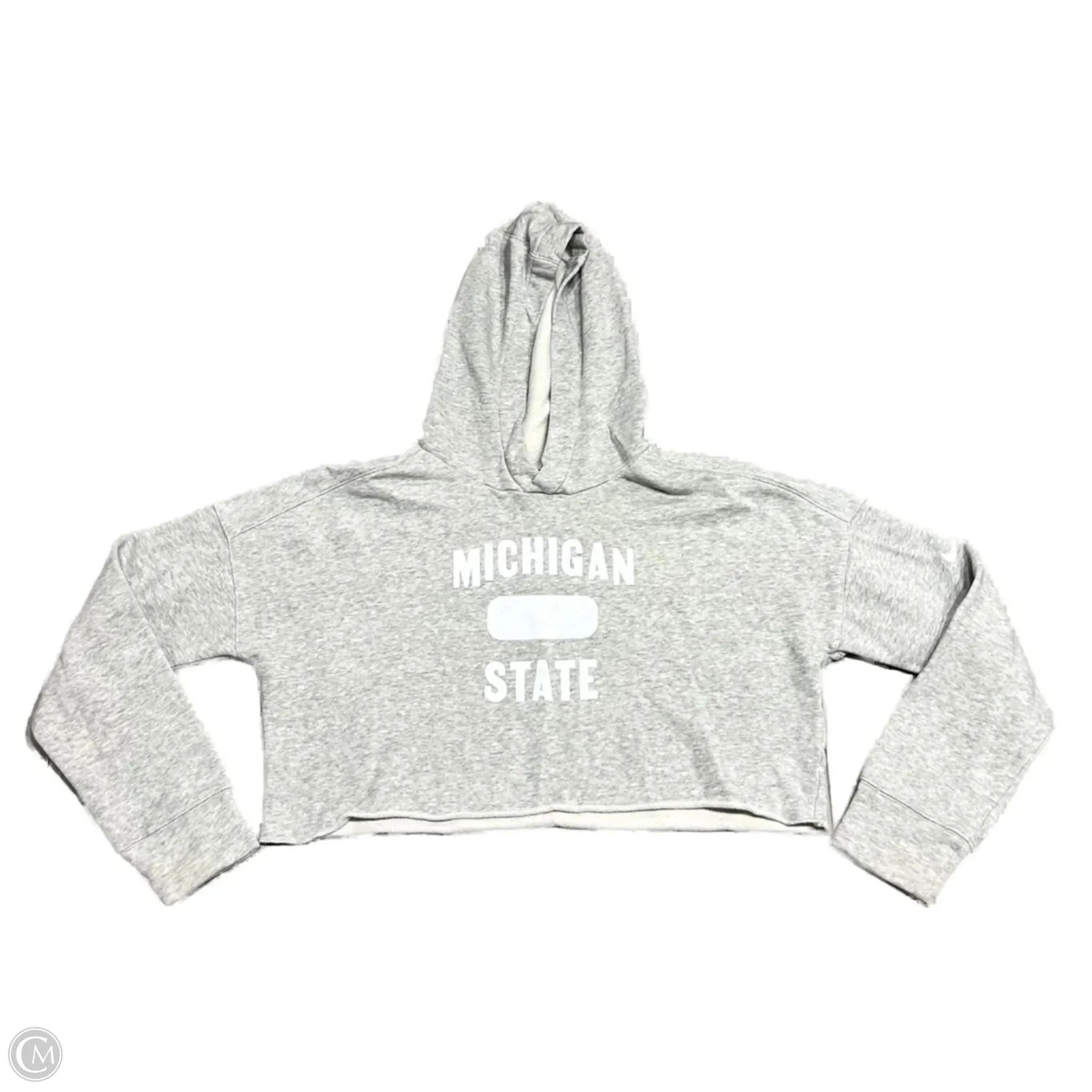 Sweatshirt Hoodie By Nike In Grey, Size: M Hero Glow