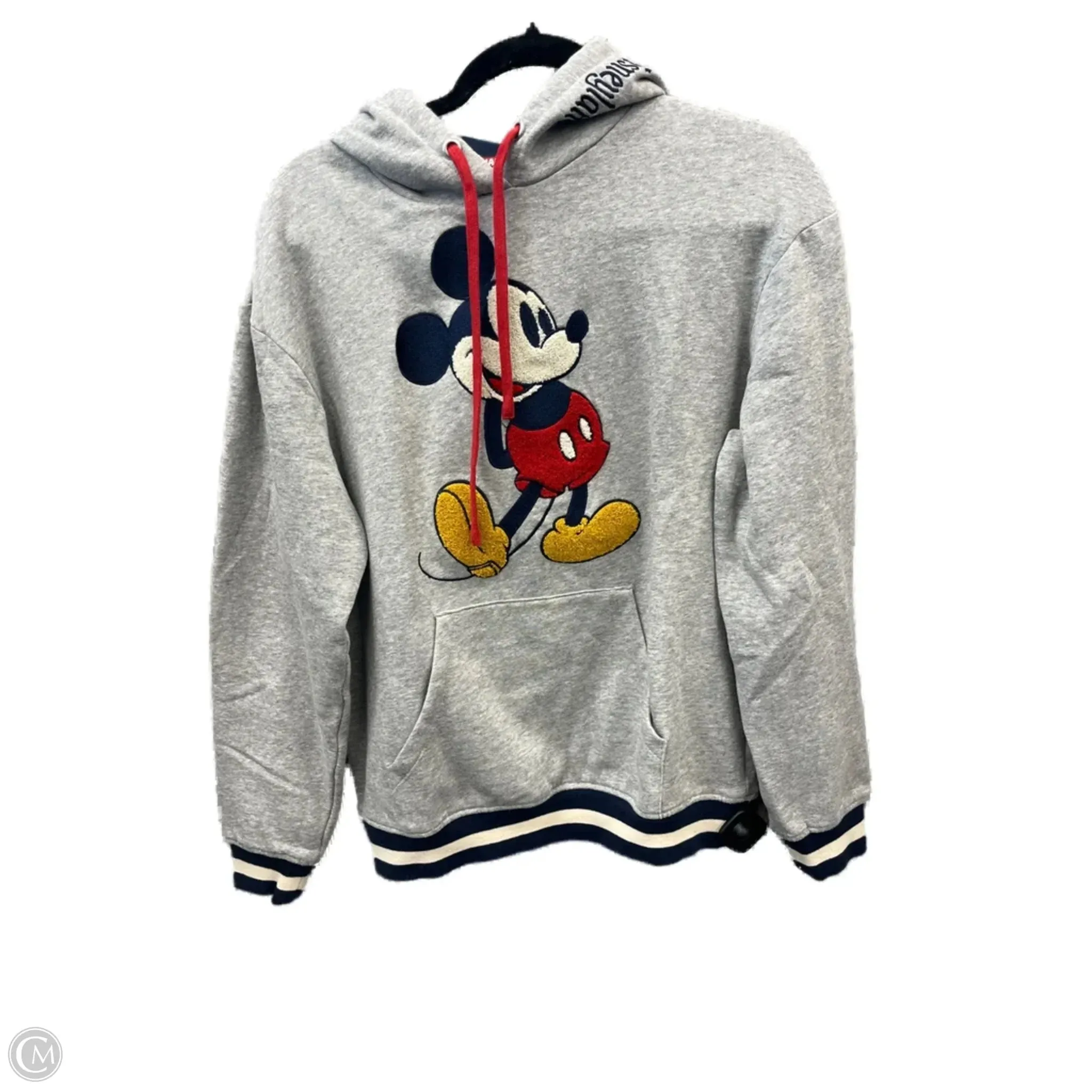 Fashionable Skirt Sweatshirt Hoodie By Disney Store In Grey, Size: S