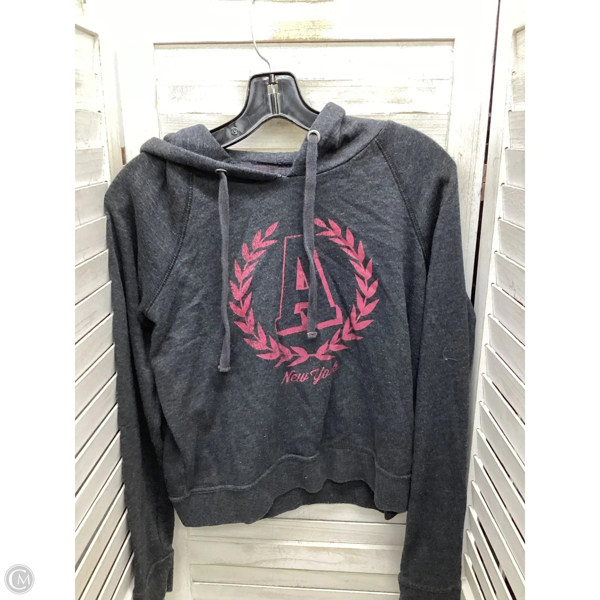 Sweatshirt Hoodie By Aeropostale In Grey, Size: S Korean Fresh Daywear Style