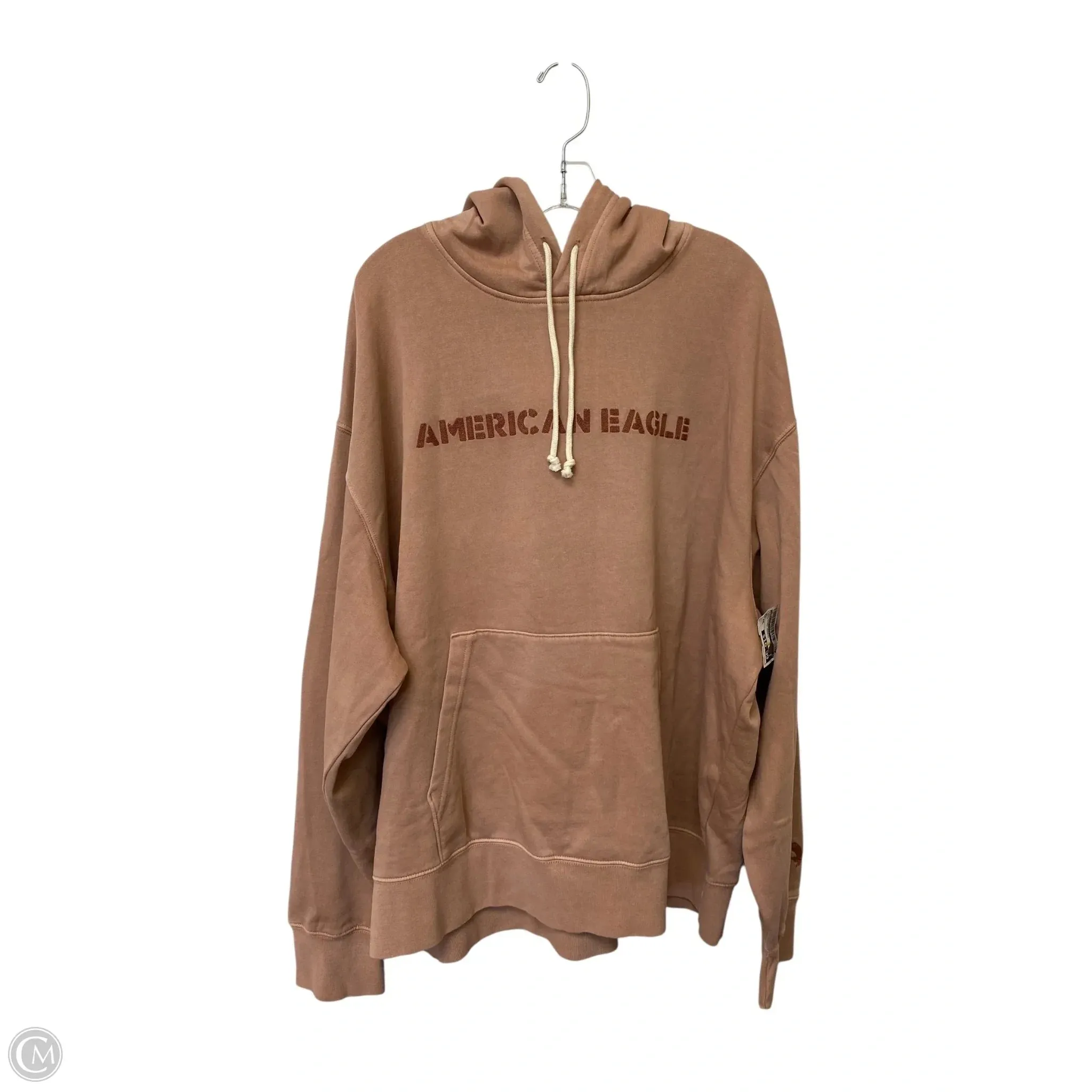 Sweatshirt Hoodie By American Eagle In Mauve, Size: Xxl Street Icon