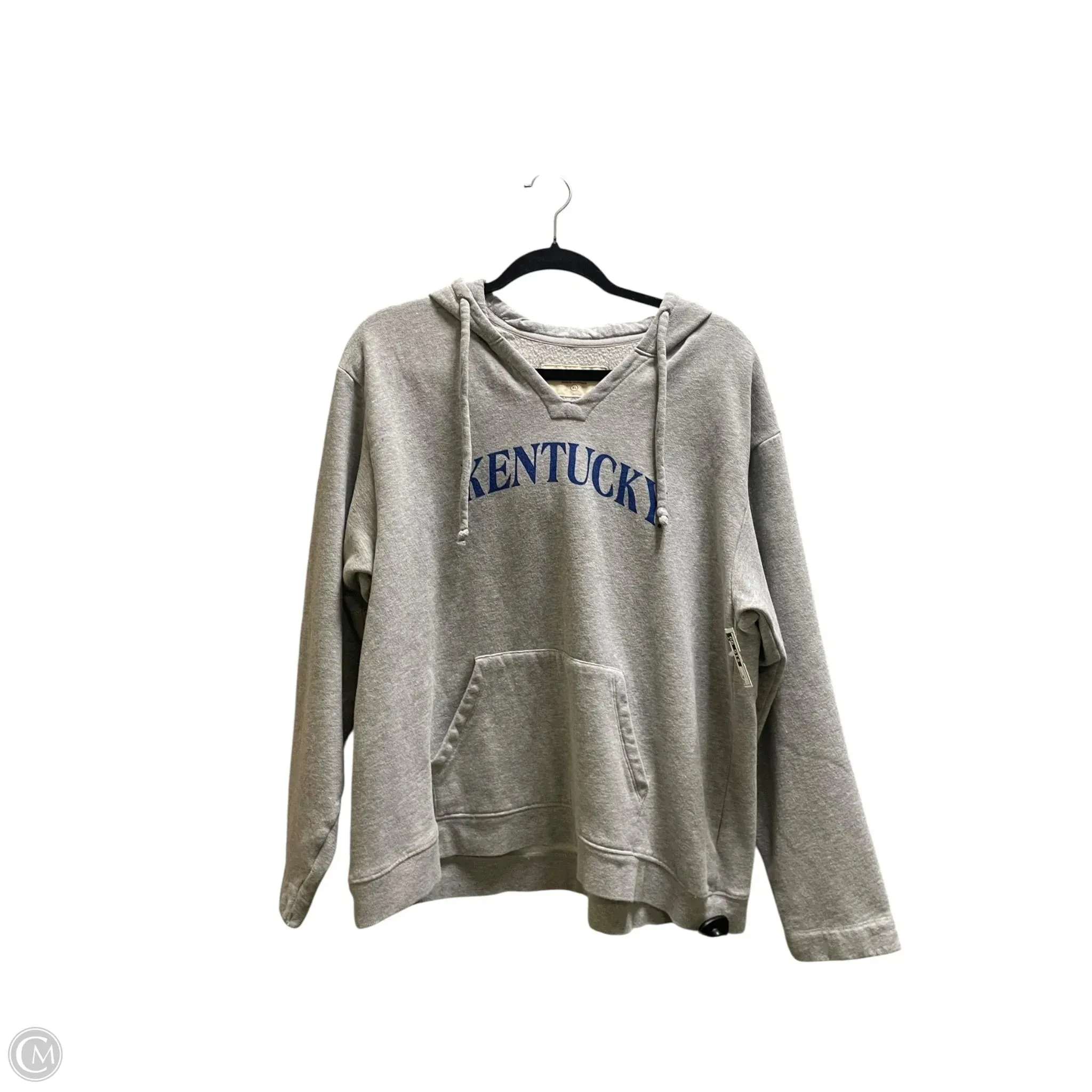 Sweatshirt Hoodie By Clothes Mentor In Grey, Size: Xl Heart Soul