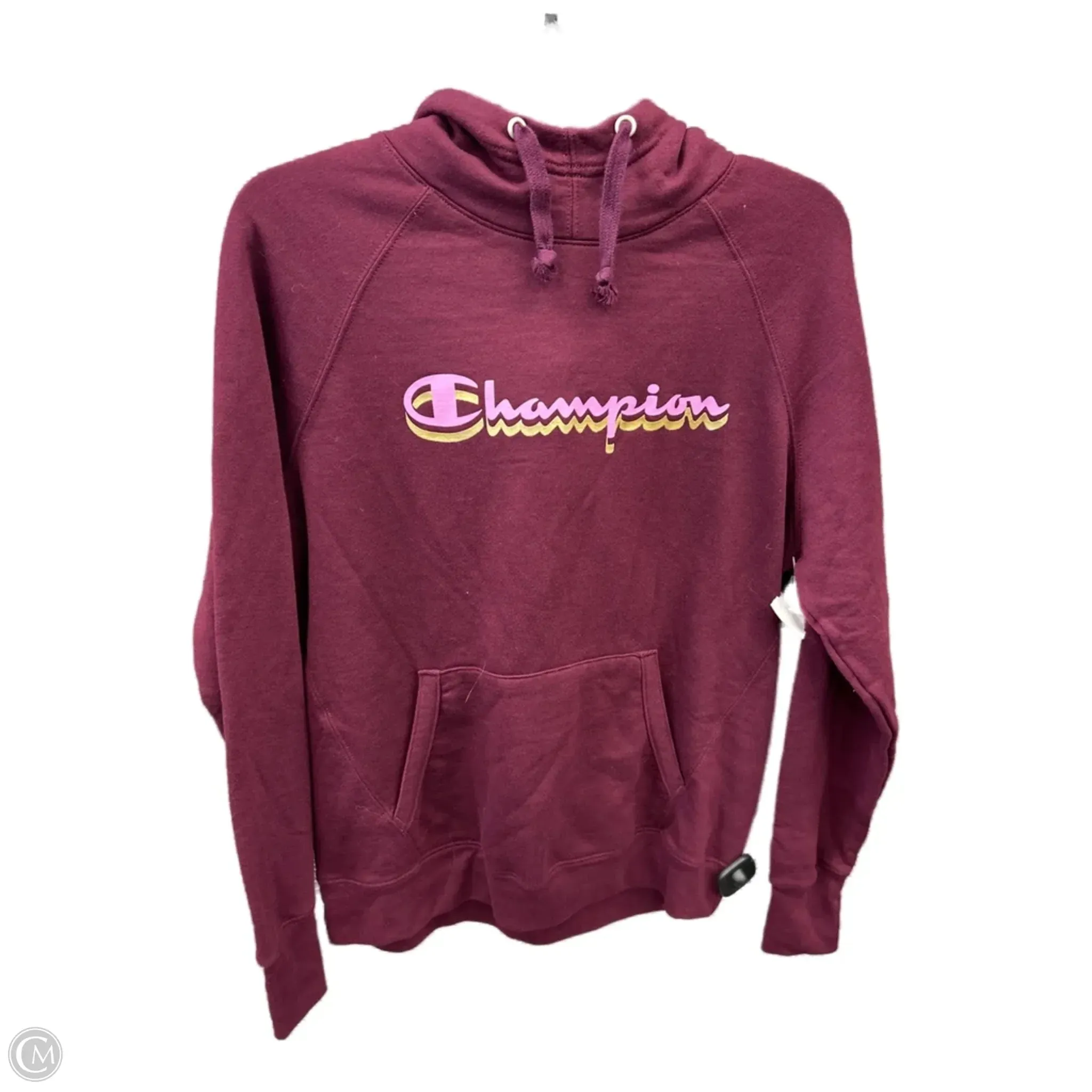 Earth Fit Calm Tone Sweatshirt Hoodie By Champion In Purple, Size: M