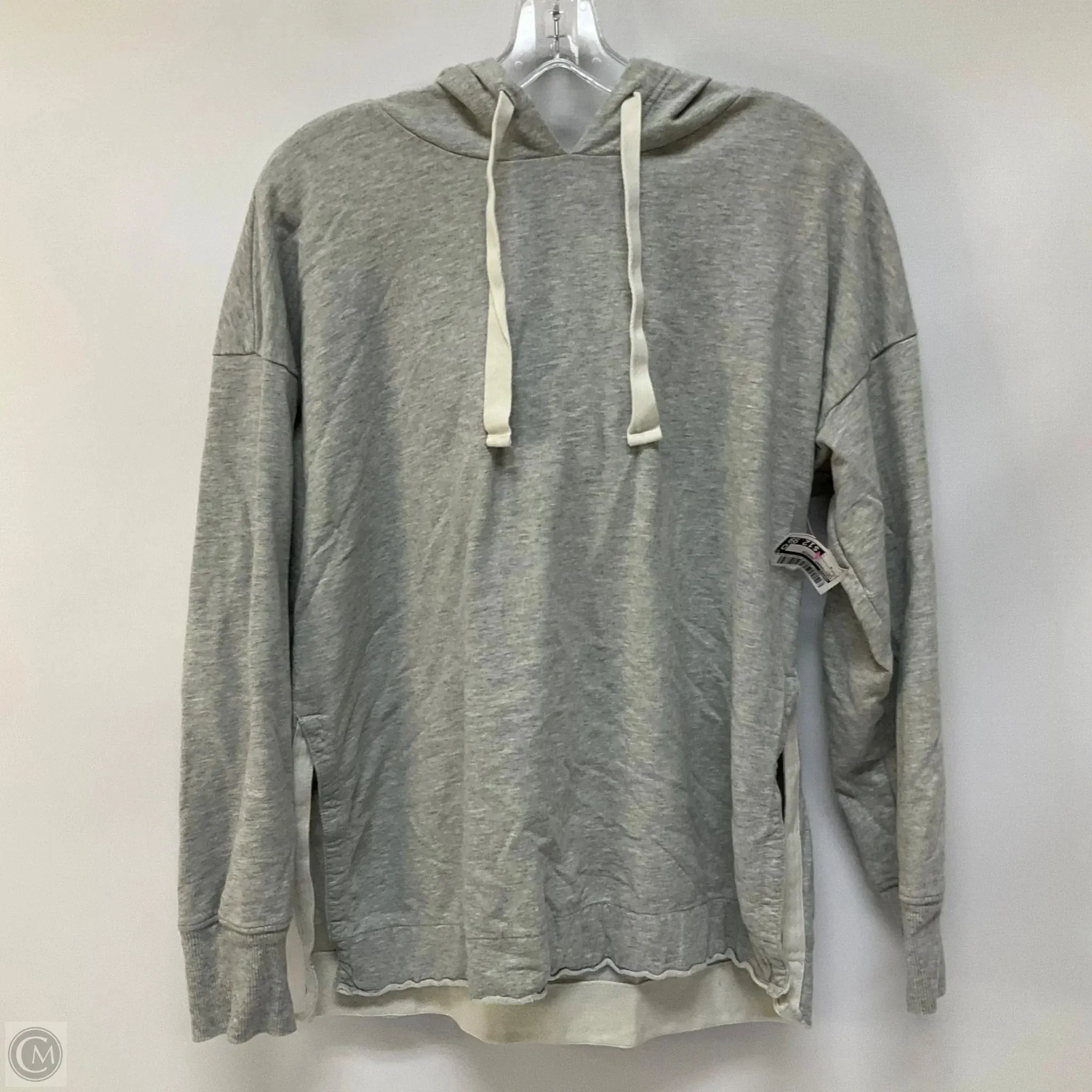 Cloud Core Sweatshirt Hoodie By Aerie In Grey, Size: S